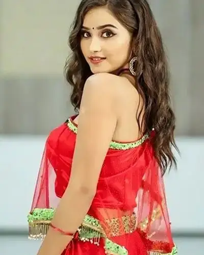 Call Girls Service Bhinmal